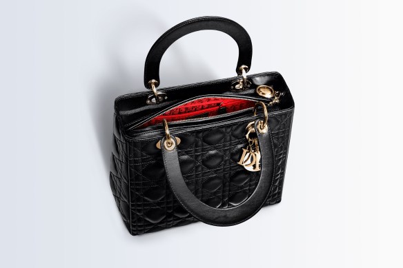 ladydiorblklambskininside