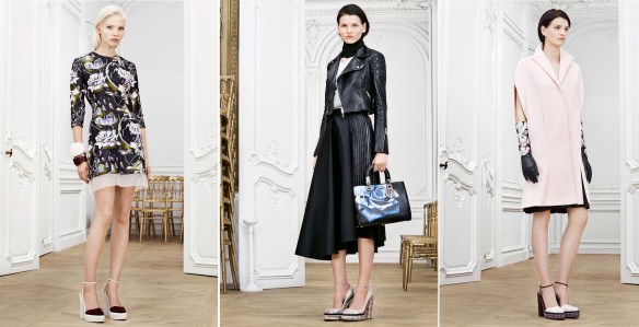 diorprefall14
